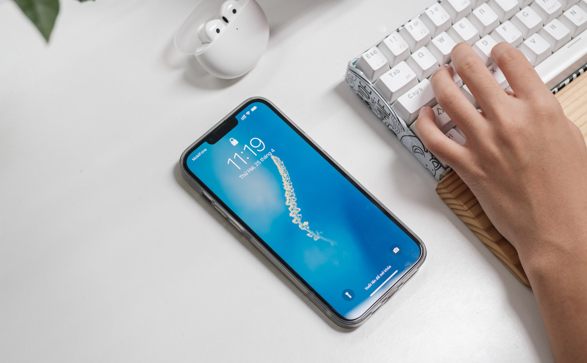 Bored of the same old iPhone wallpaper? Inject some creativity into your device by changing the background image! Discover amazing new wallpaper designs and themes to personalize your iPhone and give it a fresh new look.