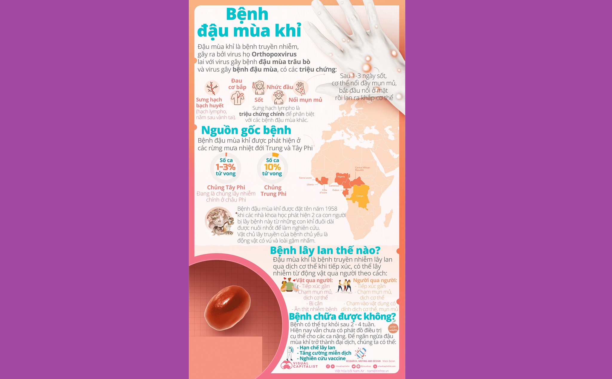 Infographic: Bệnh đậu mùa khỉ - nỗi lo sợ 1 đại dịch mới