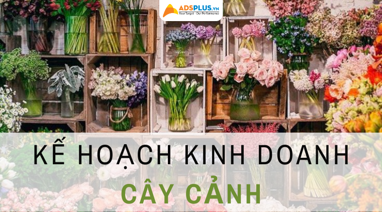 Lập kế hoạch kinh doanh cây cảnh hoàn chỉnh giúp thu hồi vốn