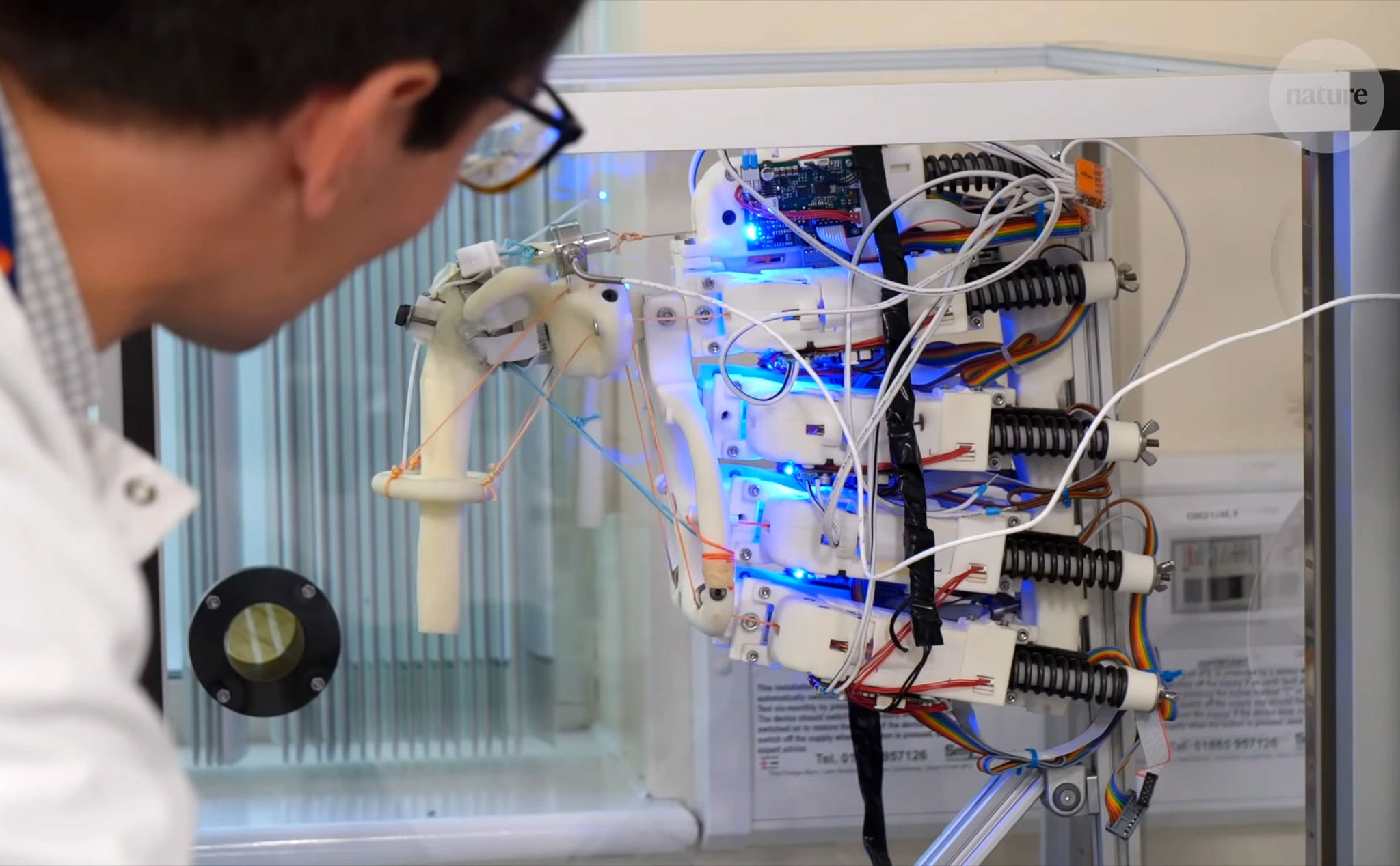 Các nhà khoa học đã nuôi cấy các tế bào sống trên một bộ xương robot