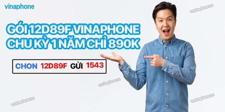 Gói 12D89F Vina Chu Kỳ 1 Năm Chỉ 890K Tặng 90GB Ưu Đãi Hấp Dẫn