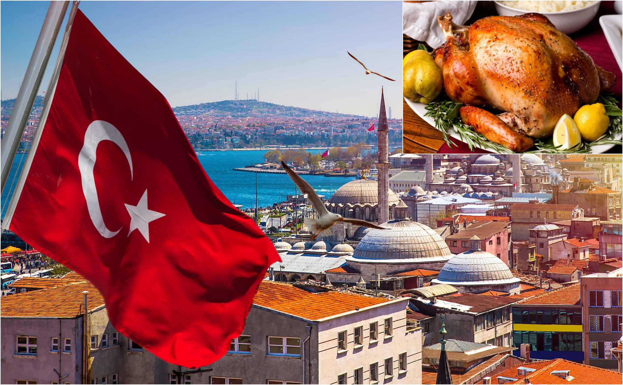 Thổ Nhĩ Kỳ đổi tên quốc tế từ Turkey thành Türkiye, để tránh trùng với tên gà Tây