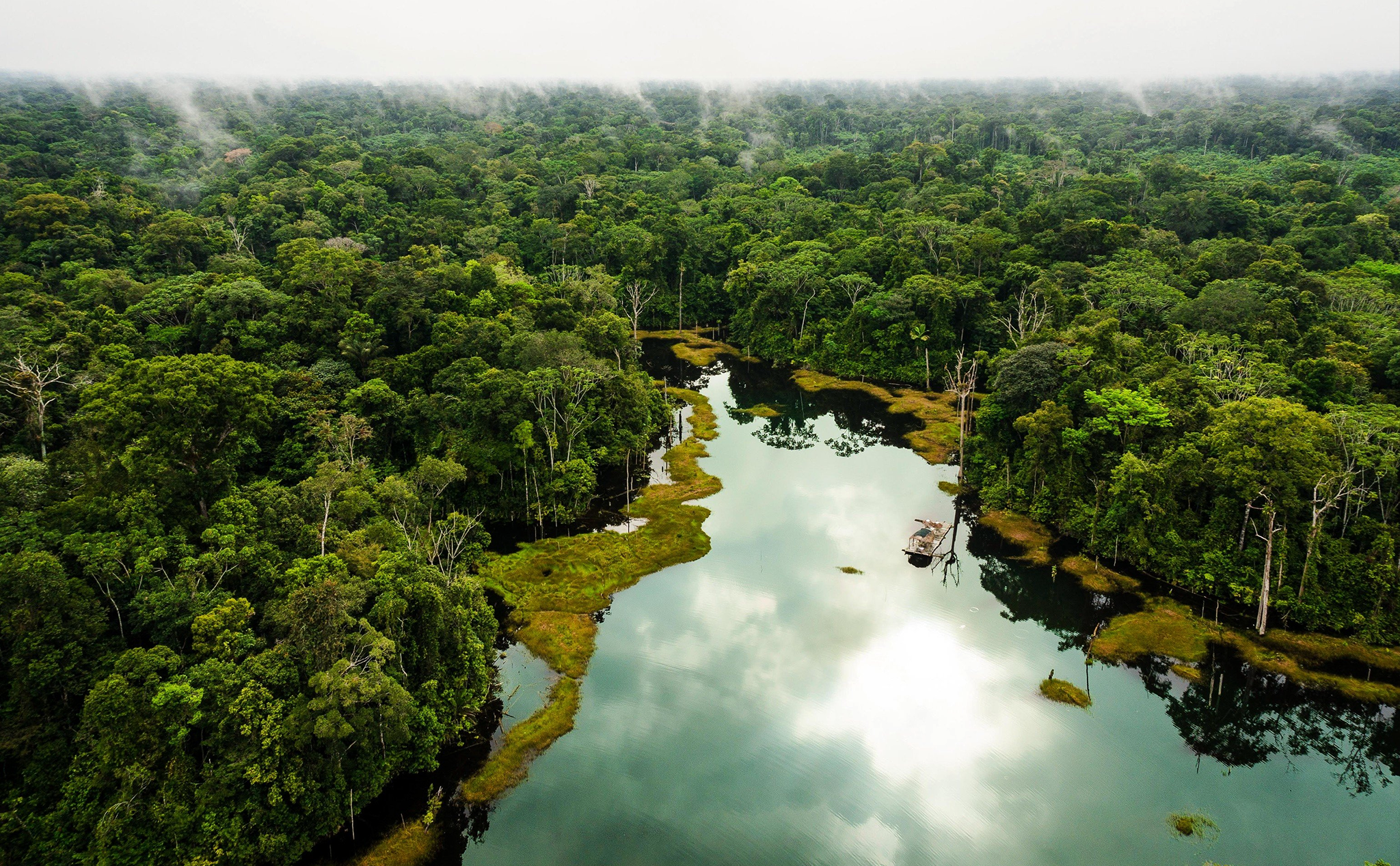 Tìm thấy bằng chứng về những thành phố bị mất tích trong rừng nhiệt đới Amazon