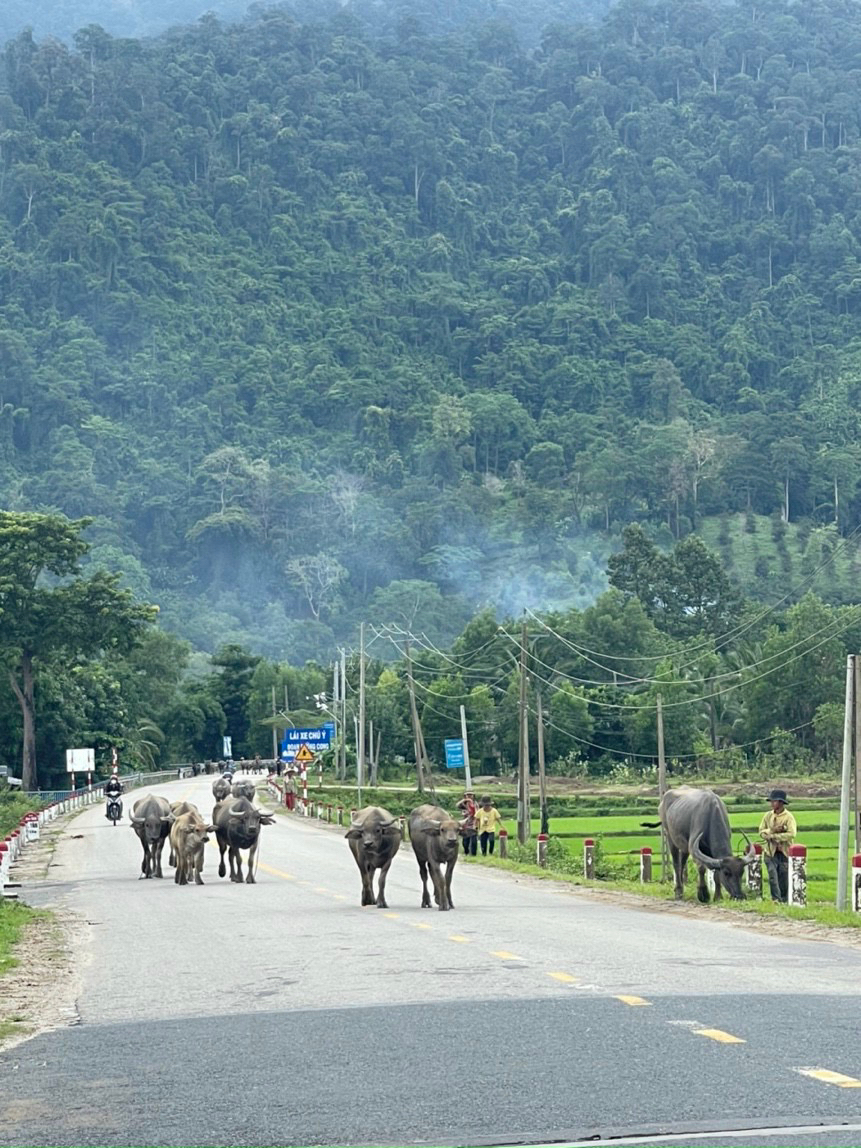 Lên mạng gặp redbull