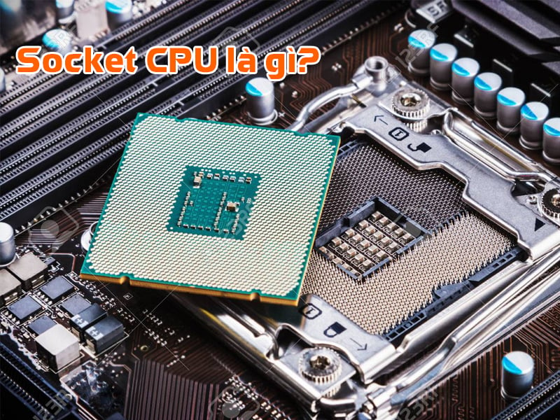 Socket CPU là gì? Cách chọn CPU socket tốt nhất