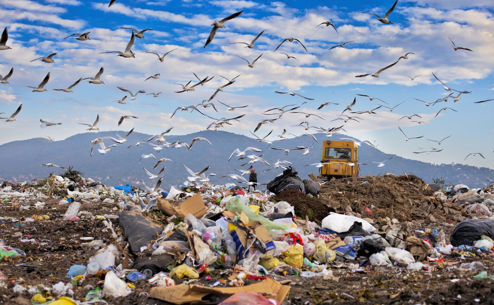 Infographic: Khủng hoảng rác thải trên thế giới
