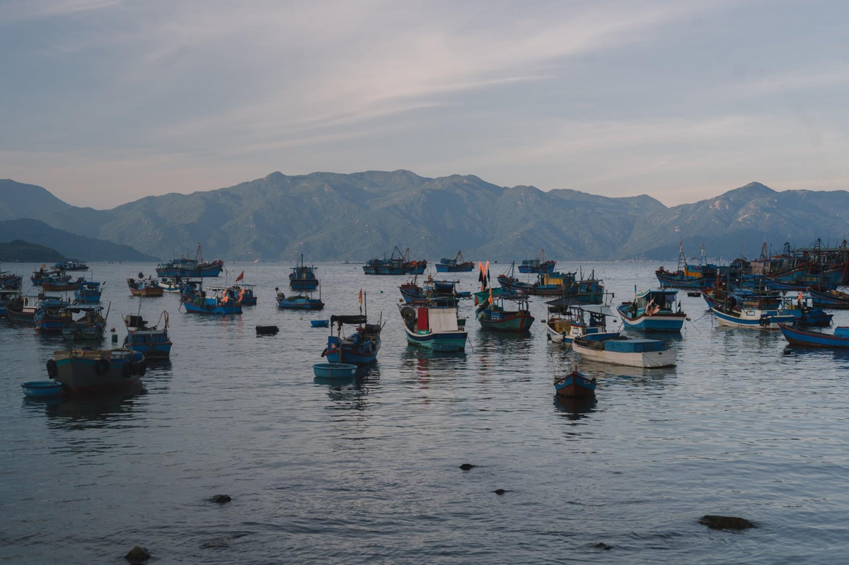 Đến Nha Trang, gợi ý bạn ghé thăm Cảng Cá Vĩnh Lương