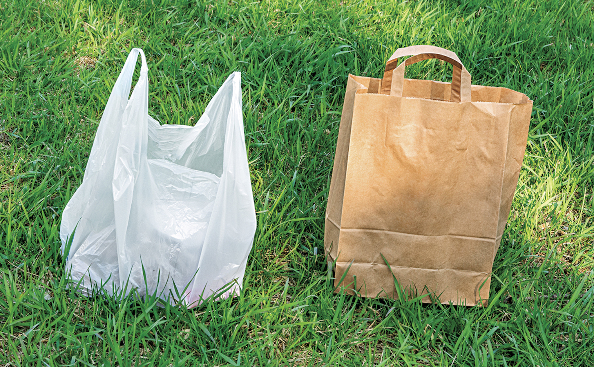 Paper Bag vs Plastic Bag. Plastic Bags and paper Bags. Полиэтиленовый пакет для скошенной травы. Бесхозный полиэтиленовый пакет.