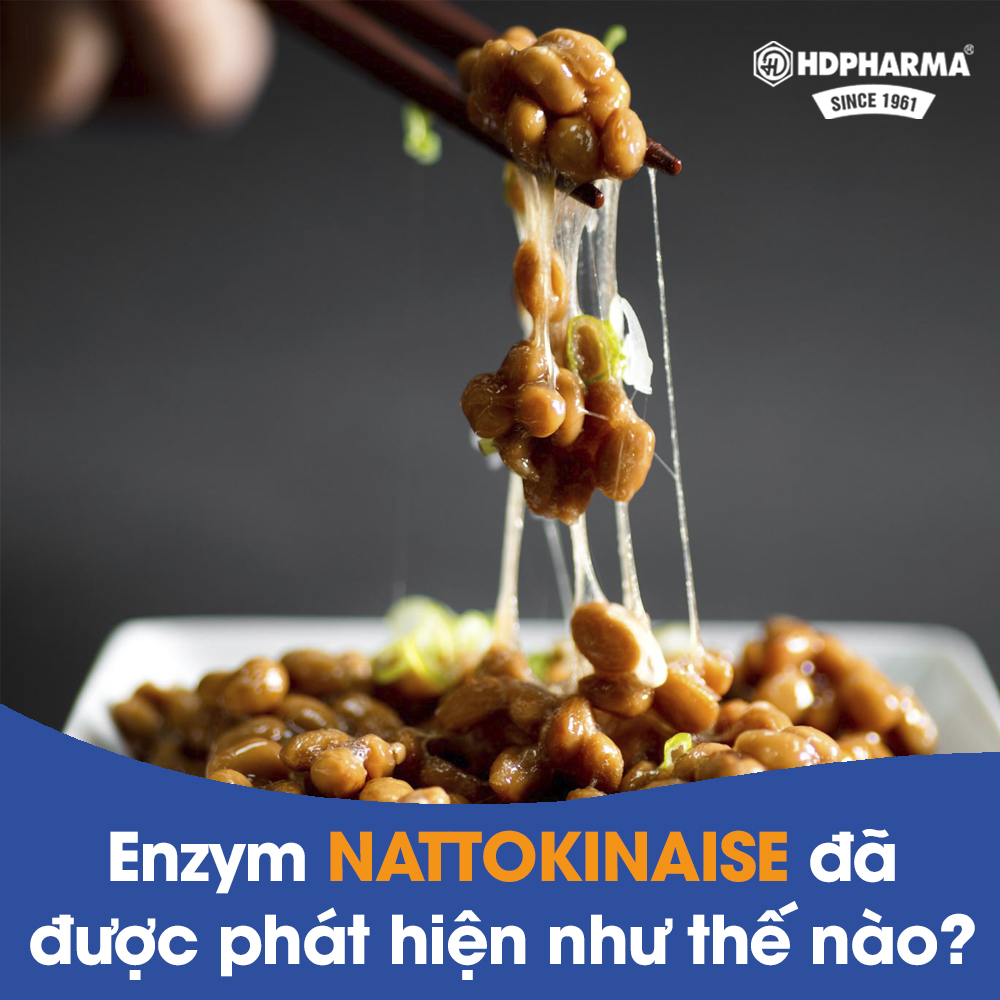 NATTOKINAISE - ENZYM ĐÁNH TAN CỤC MÁU ĐÔNG ĐÃ ĐƯỢC PHÁT HIỆN NHƯ THẾ NÀO?