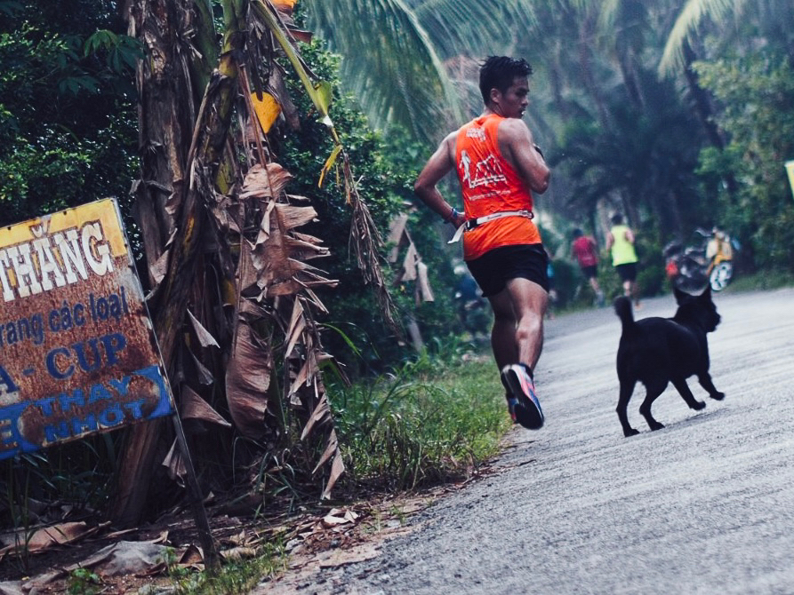 Cũng là pacer… nhưng nó lạ lắm các bác ạ :))