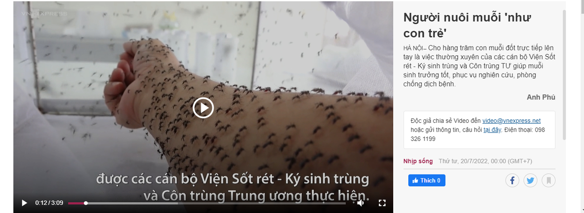 việc nhẹ lương cao này anh em