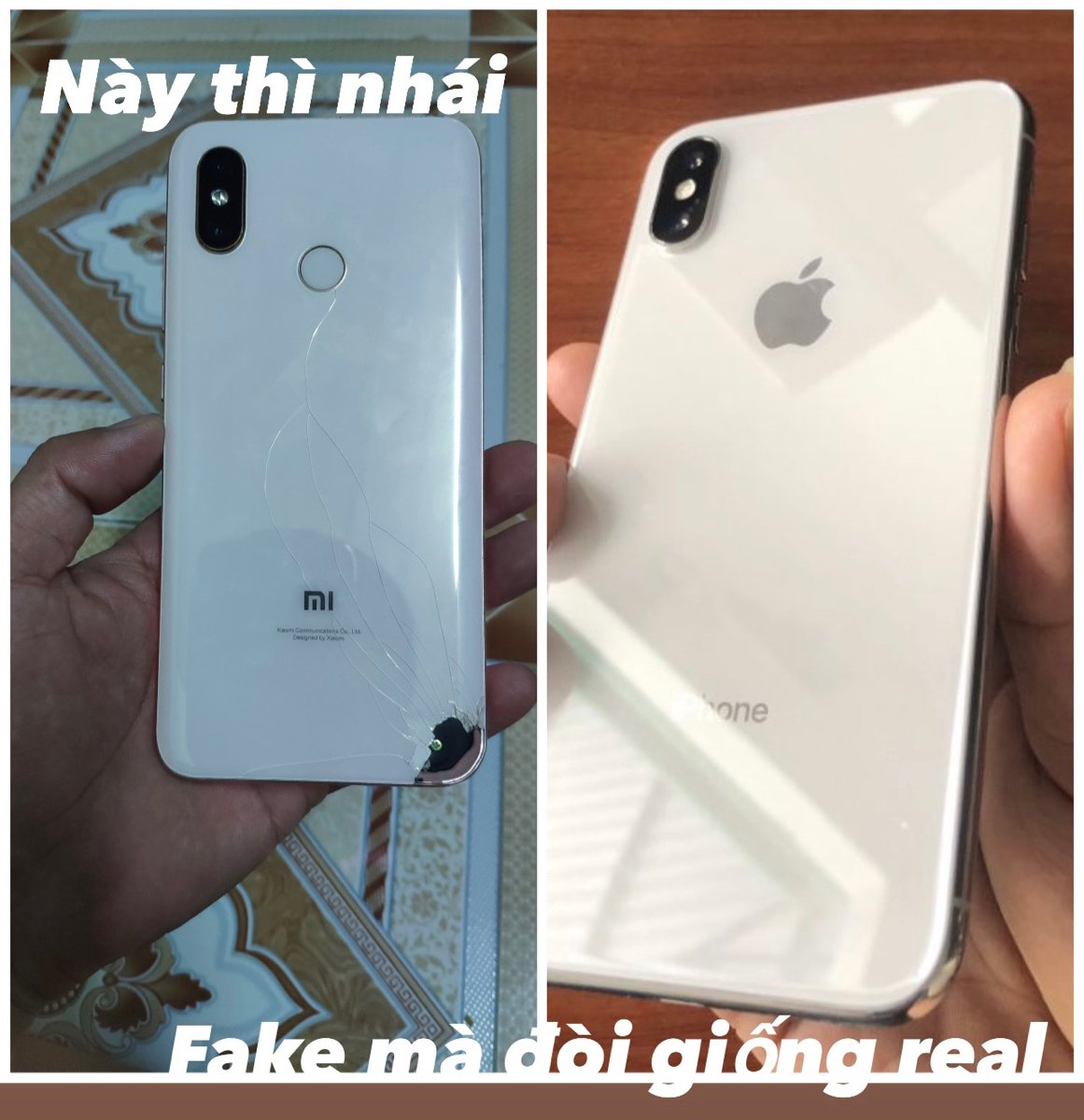 Luật hoa quả ko chừa 1 ai