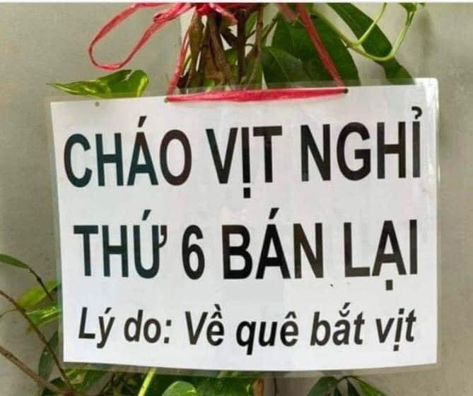 hết vịt