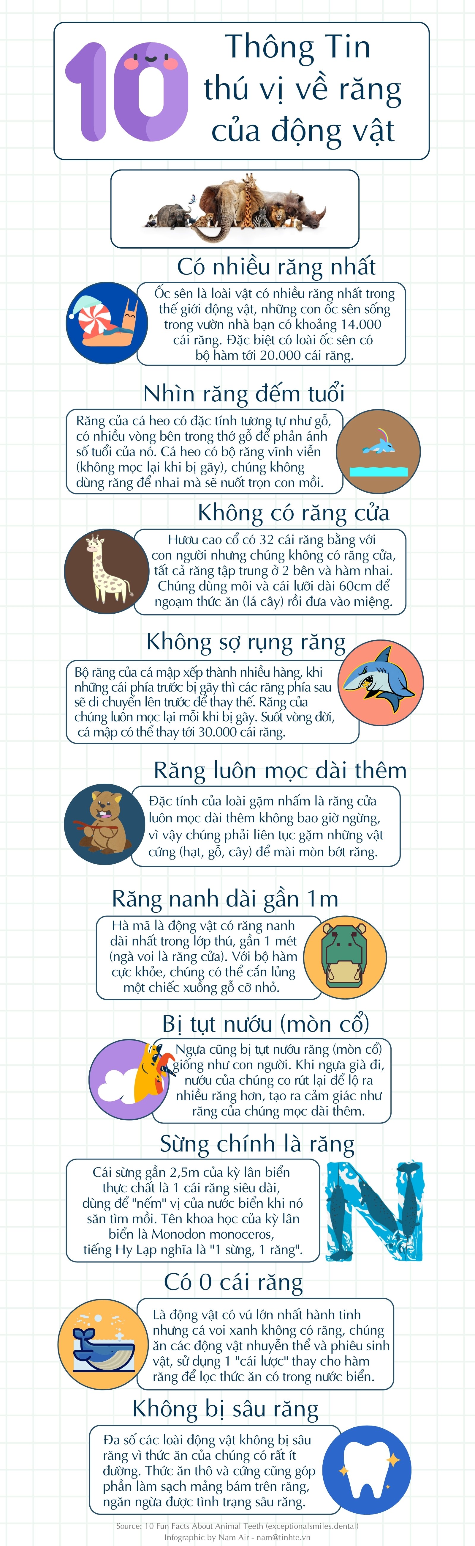 tinhte-infographic-rang-dong-vat.jpg