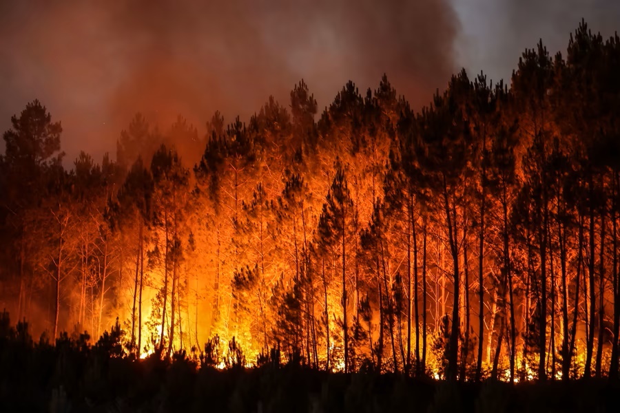 Hình ảnh cháy rừng nghiêm trọng ở Tây Ban Nha hàng ngàn người sơ tán