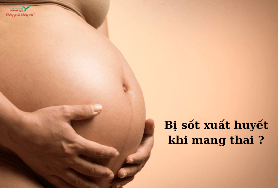 Bà bầu mắc sốt xuất huyết phải làm sao