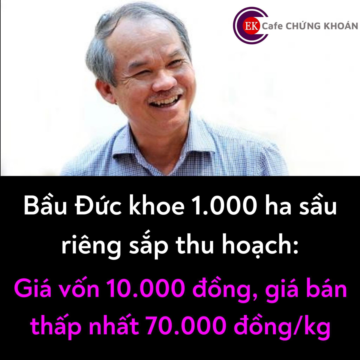 Tiếp tục lùa gà