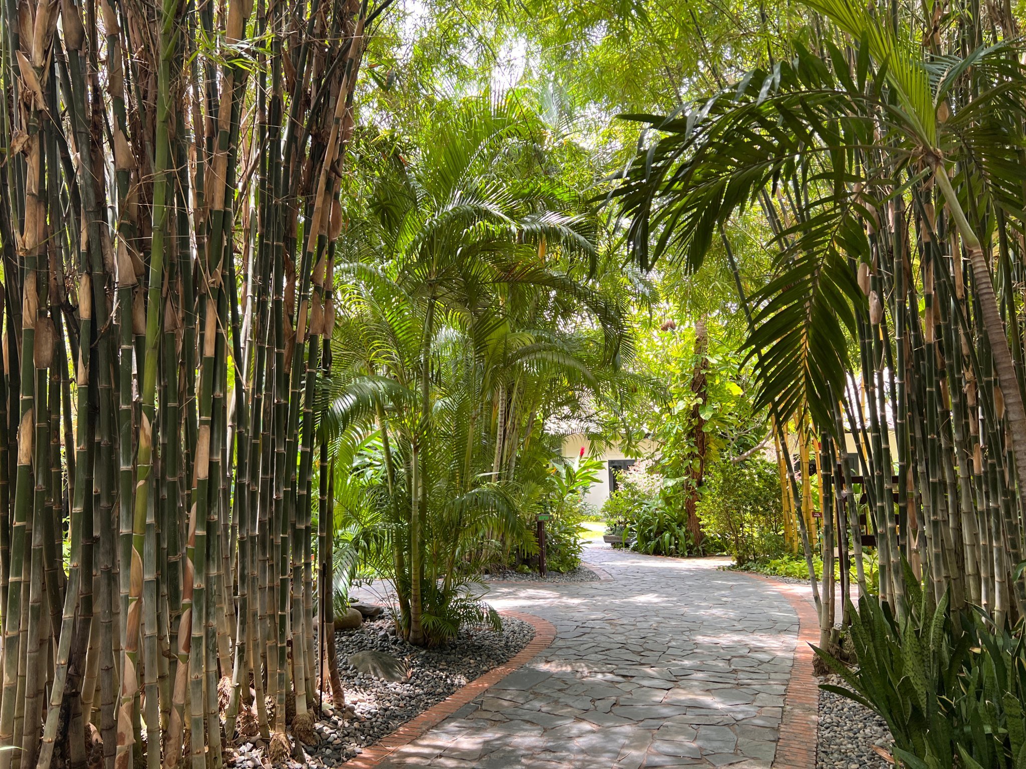 Bamboo village garden walk.jpg