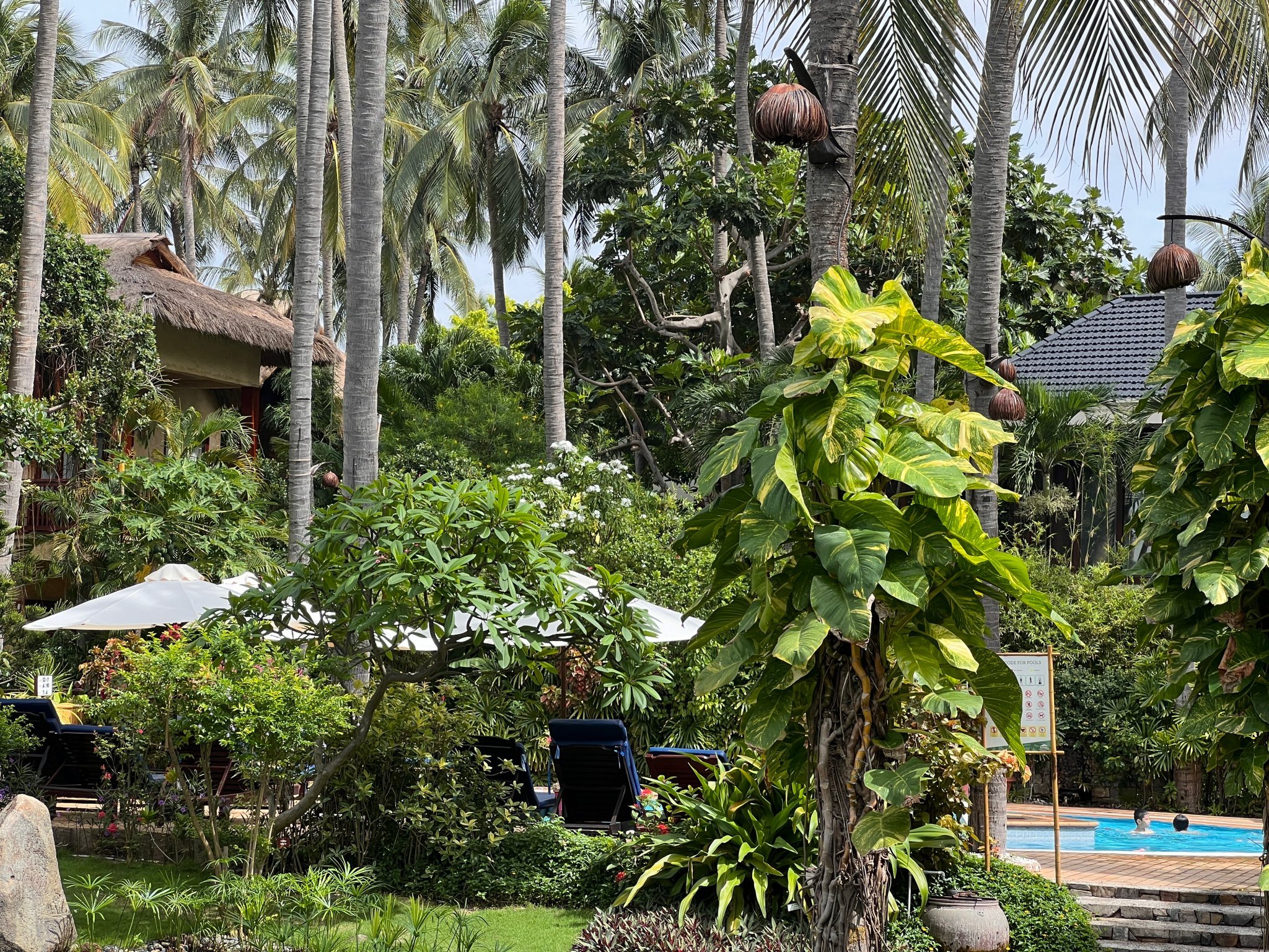 Bamboo village plants.jpg