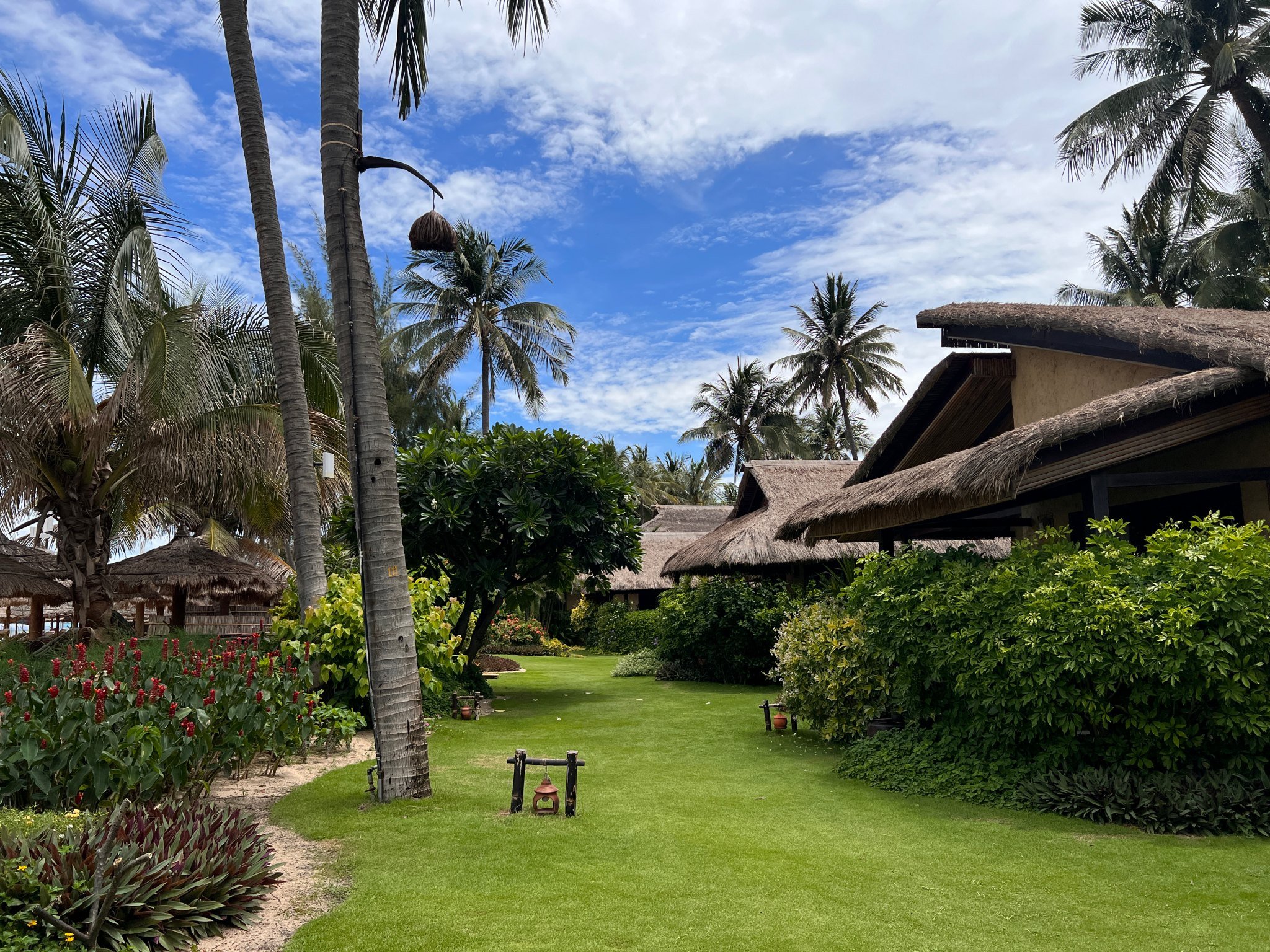 Bamboo village garden.jpg