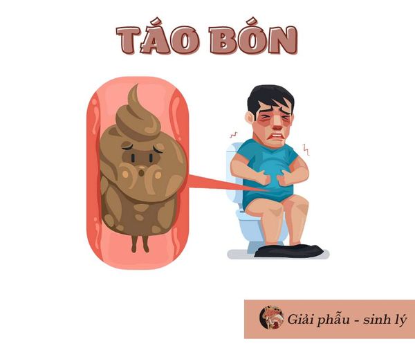 TÁO BÓN