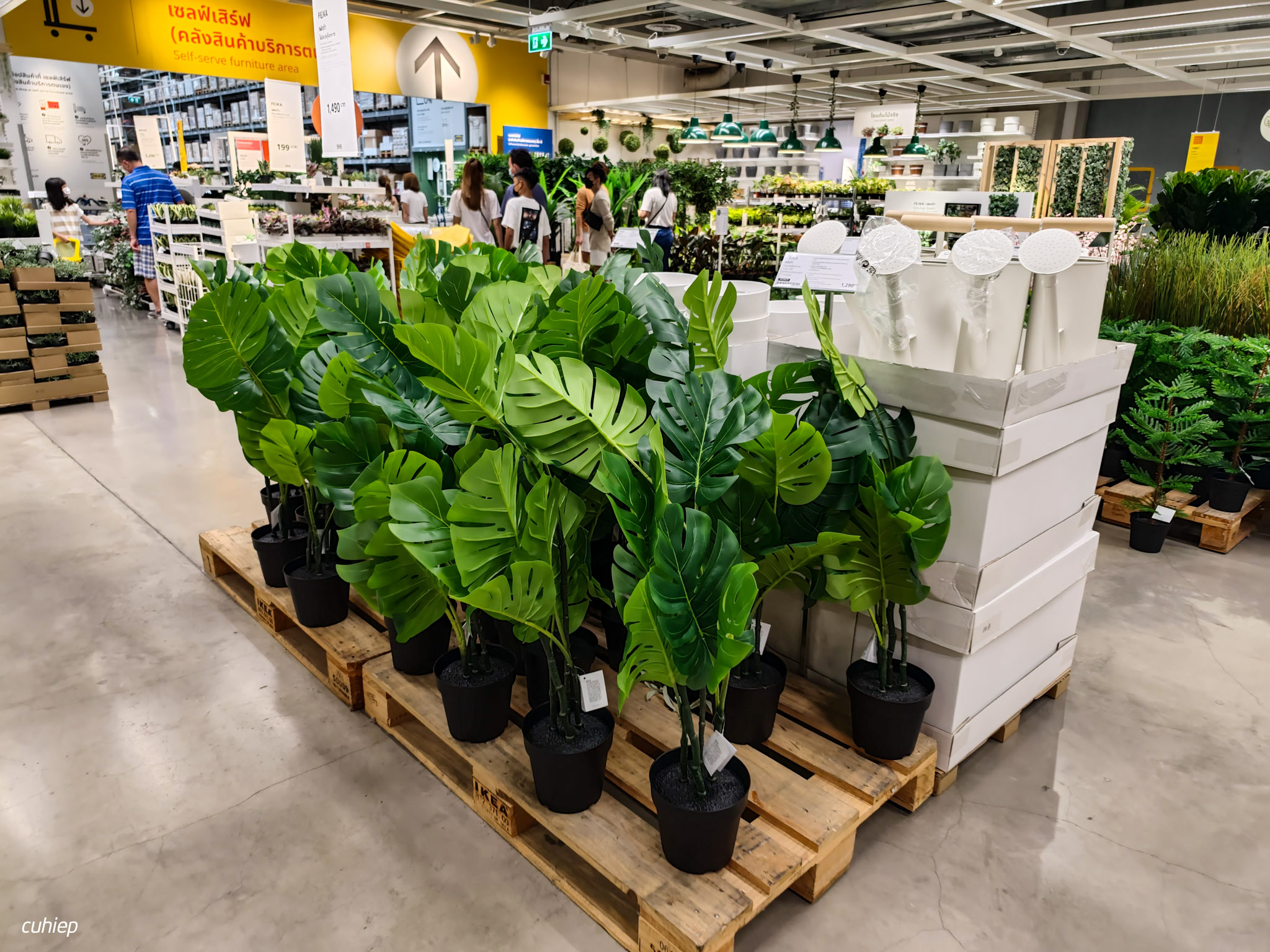 IKEA_Bangkok_tinhte_cuhiep156.jpg