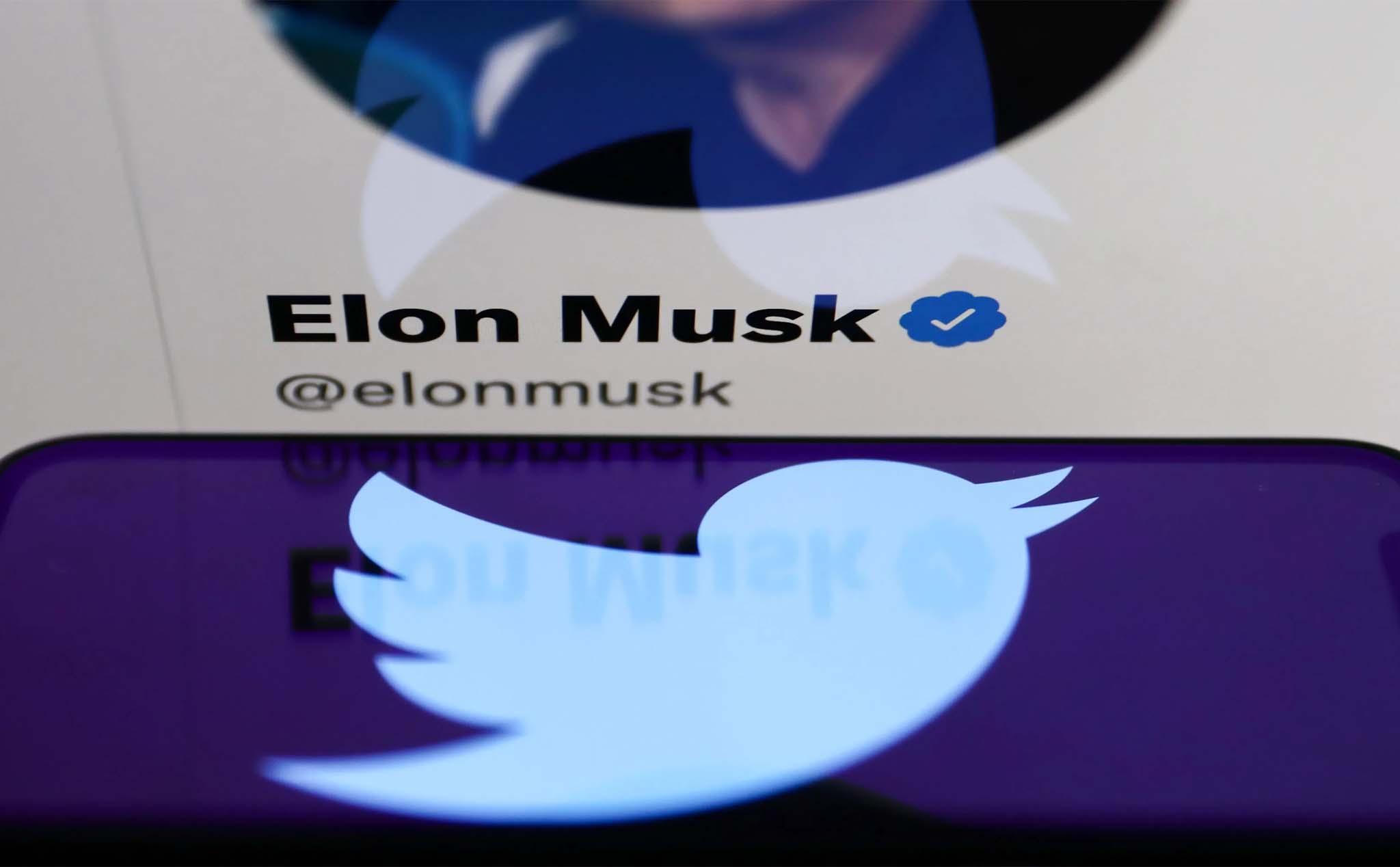 Elon Musk lại đòi "chi tiết số lượng tài khoản giả mạo" để tiếp tục thương vụ mua Twitter