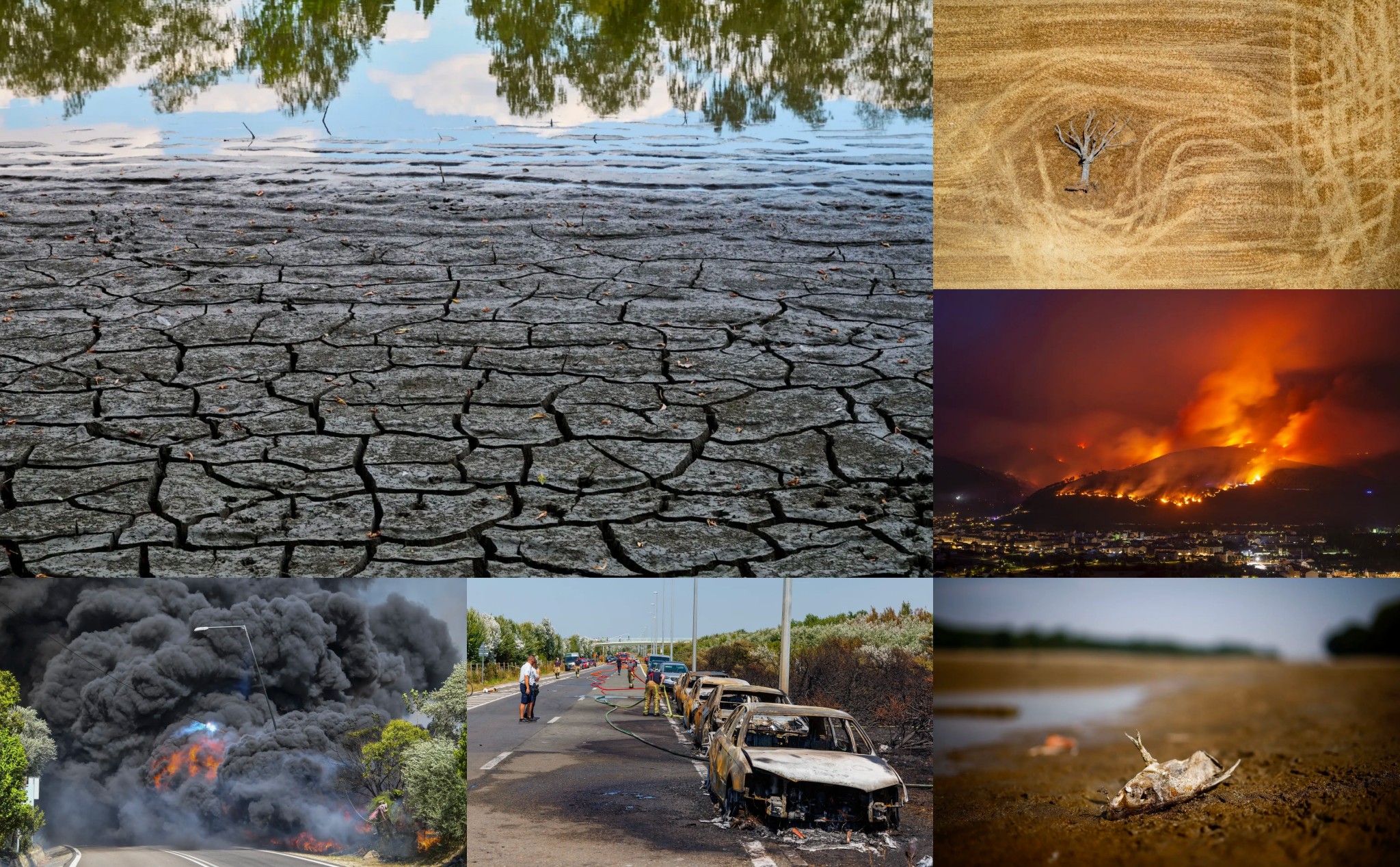 Mùa hè châu Âu 2022: Sông trơ trọi đáy, mặt đất khô cằn nứt nẻ, cháy rừng càn quét...