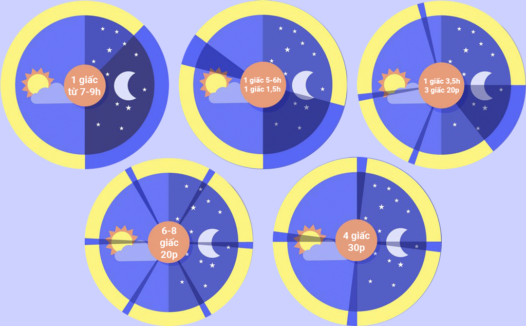 [Infographic] Phương pháp ngủ đa pha giúp bạn có nhiều thời gian hơn trong ngày