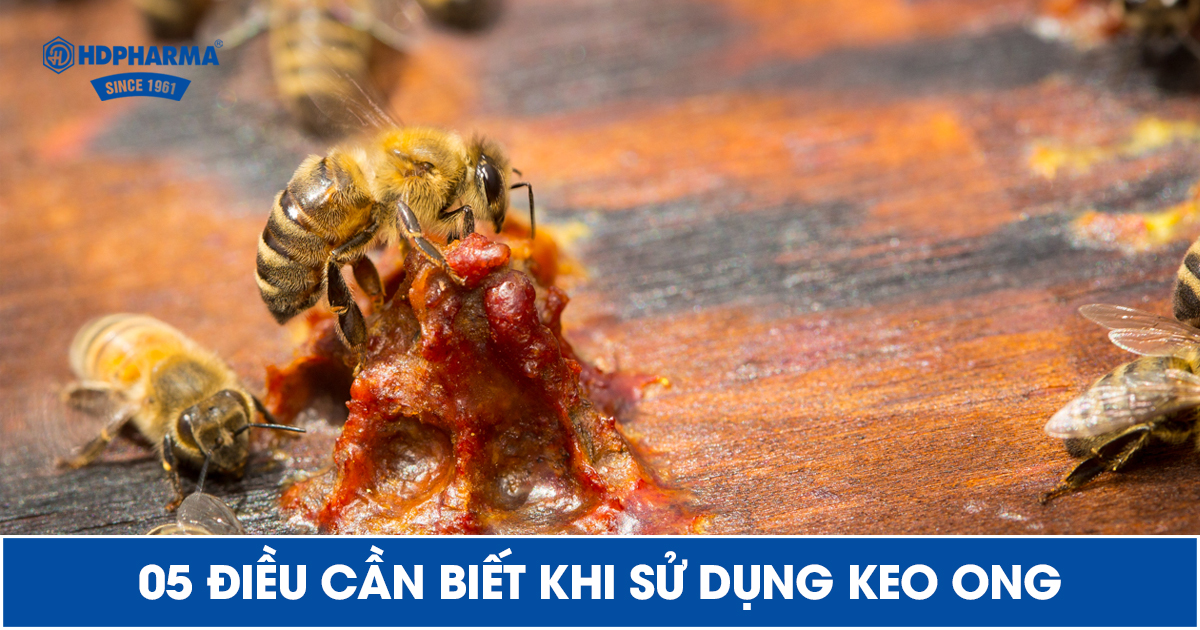 05 ĐIỀU CẦN BIẾT KHI SỬ DỤNG KEO ONG