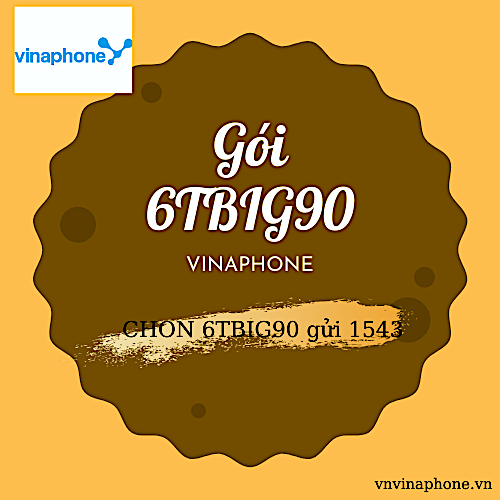 CÁCH ĐĂNG KÝ GÓI 6TBIG90 VINAPHONE