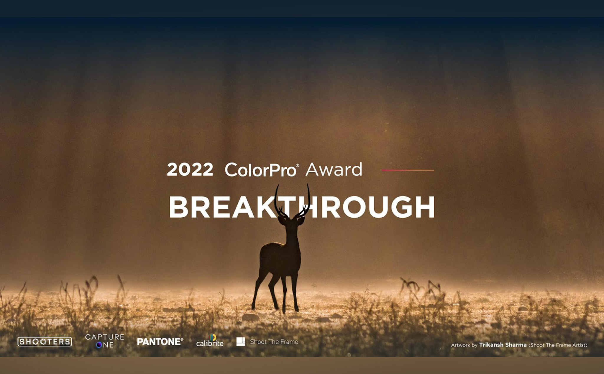 Mời tham dự Cuộc Thi Ảnh Toàn Cầu: ColorPro Award 2022 Với Chủ Đề “Đột Phá” bởi ViewSonic Corp