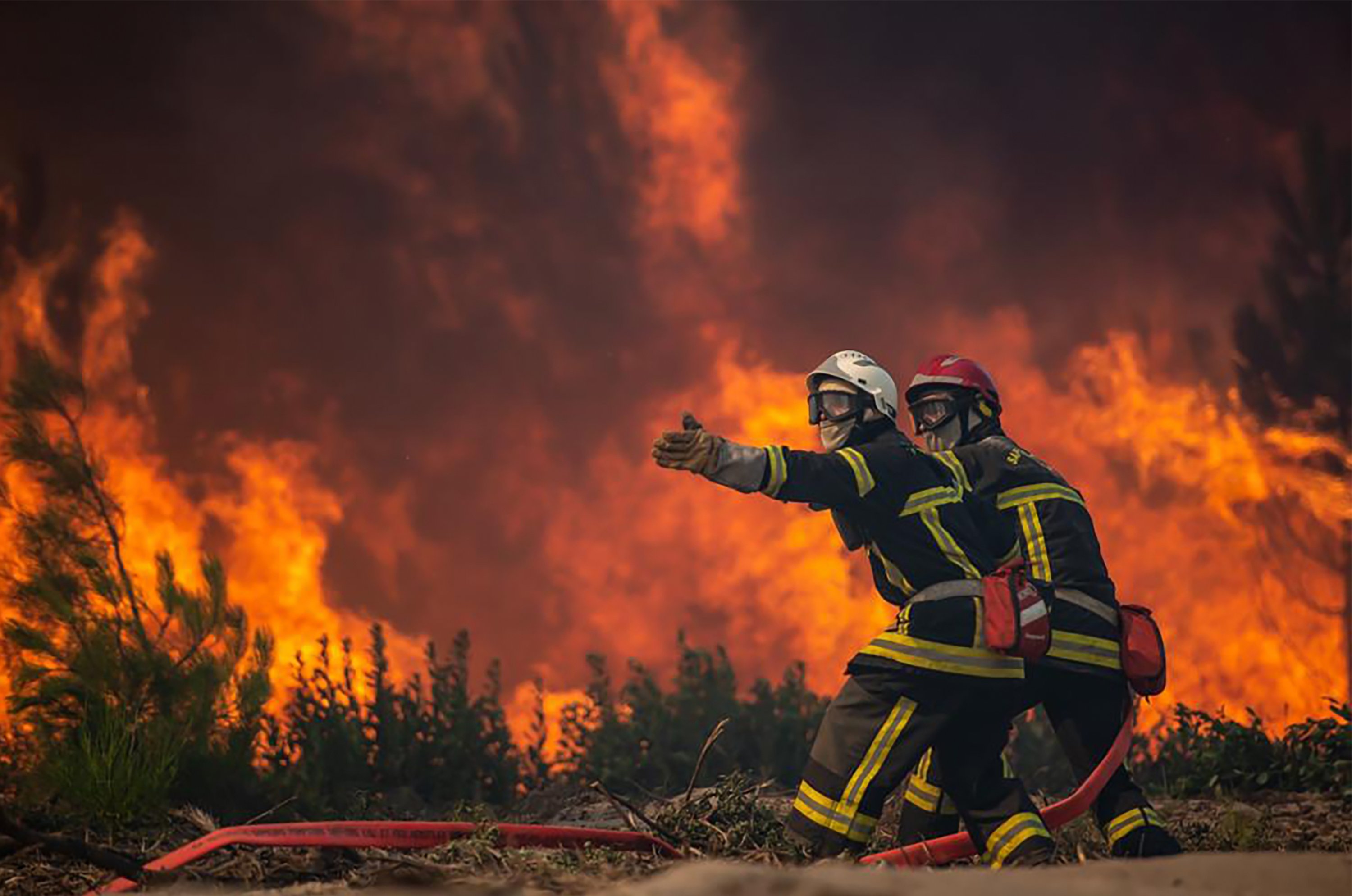 Infographic: Cháy rừng do hậu quả của biến đổi khí hậu