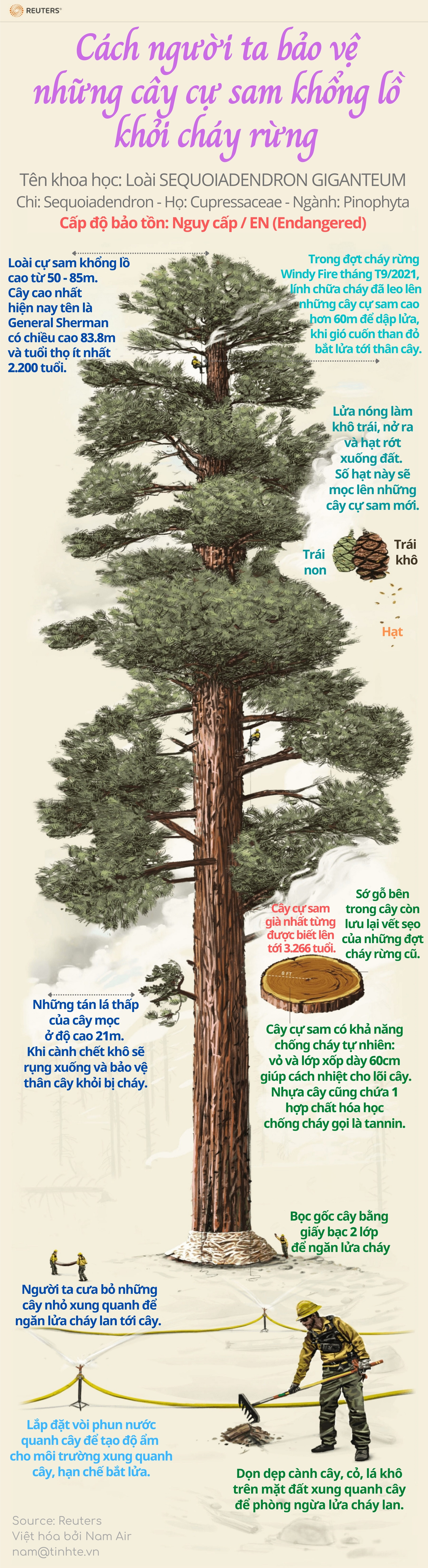 tinhte-infographic-bao-ve-cu-sam-khong-lo.jpg