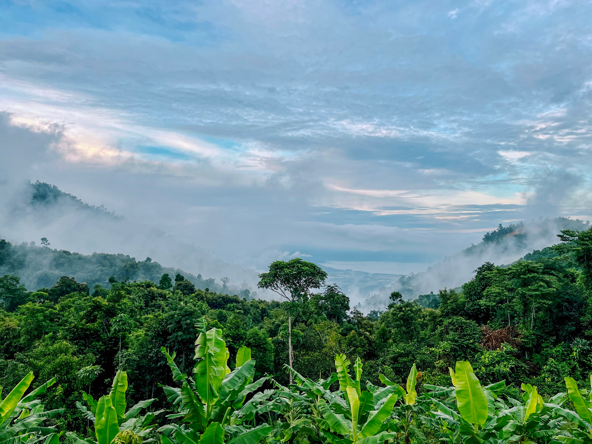 Thành quả sau 10 ngày ở trên núi săn mây. Bên dưới là Nha Trang bị mây kín.