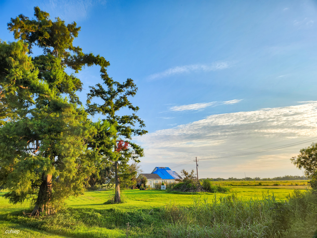 Nắng sáng vùng quê ‎⁨Cut Off⁩, ⁨United Houma Nation⁩, ⁨Hiệp Chủng Quốc Hoa Kỳ⁩