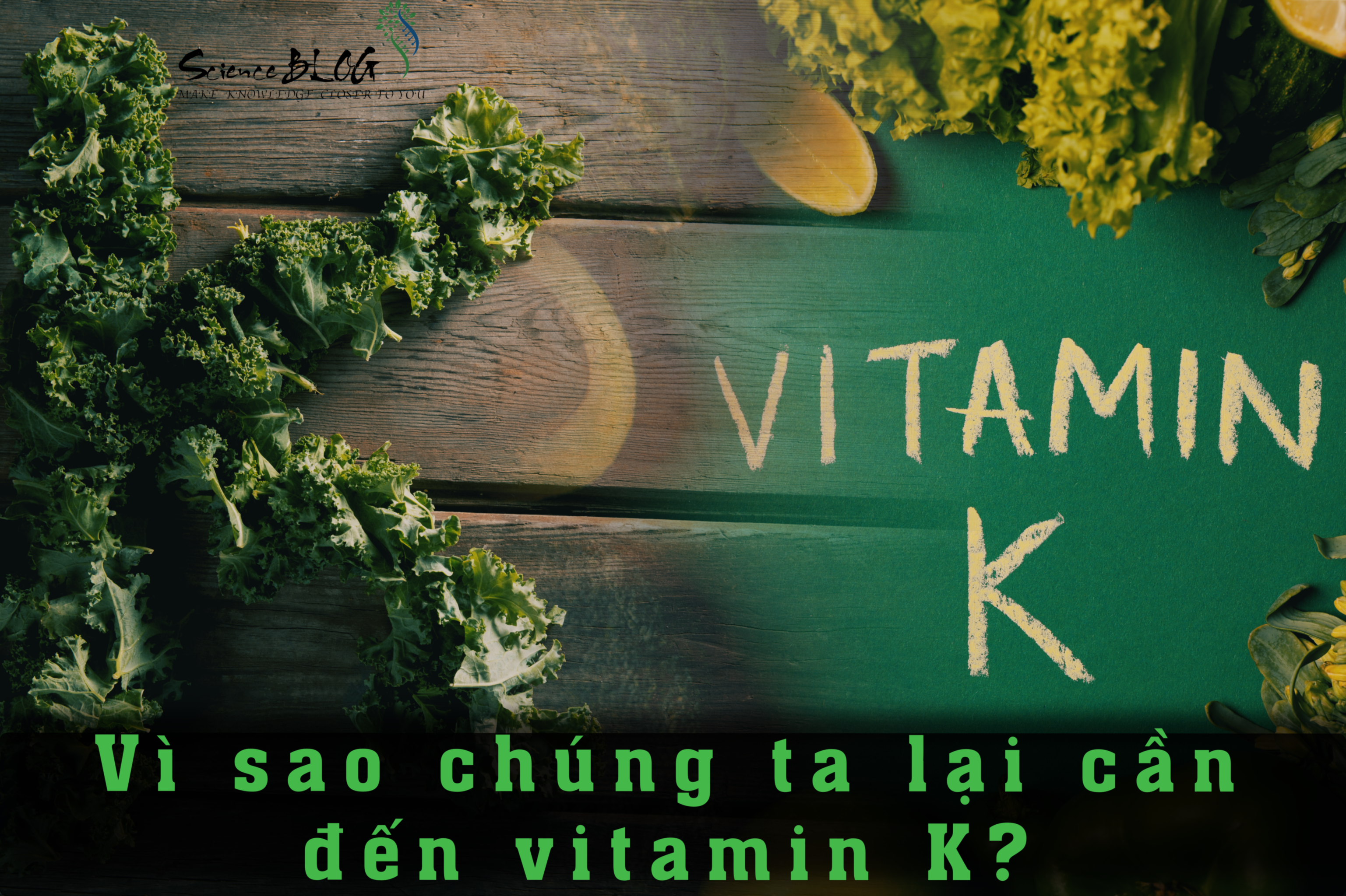 Vitamin K là gì?