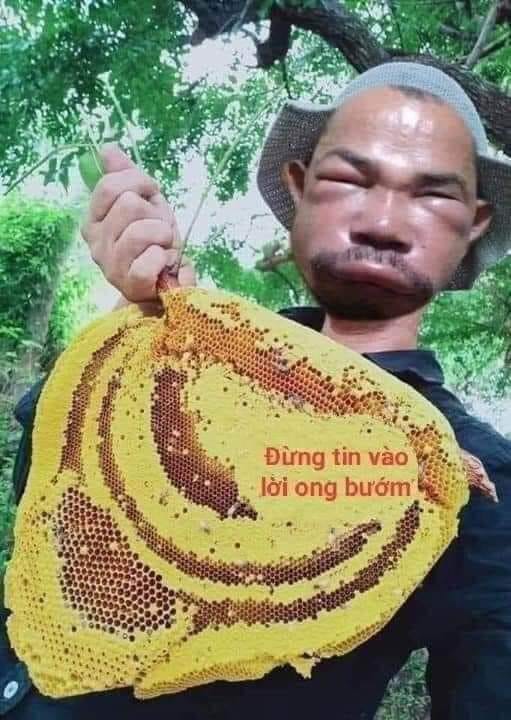 Đó là hố sâu, là cạm bẫy tình iu...