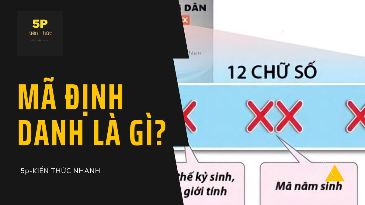 Mã định danh là gì?