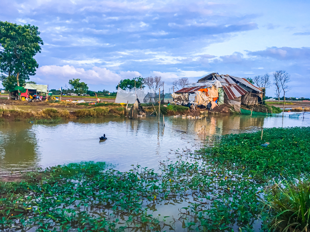 Một túp lều tranh hai trái tim vàng️️