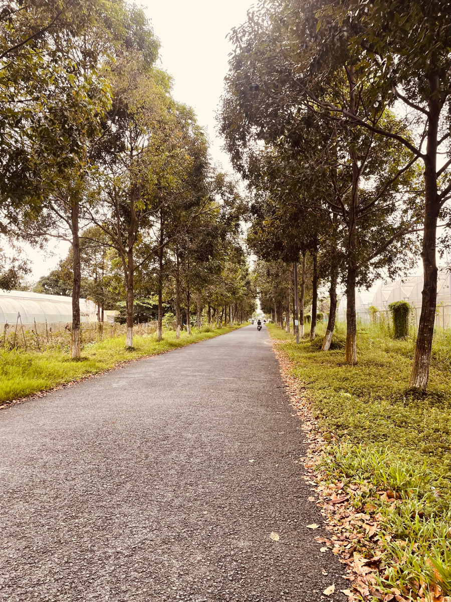 đường chiều #roundthebend