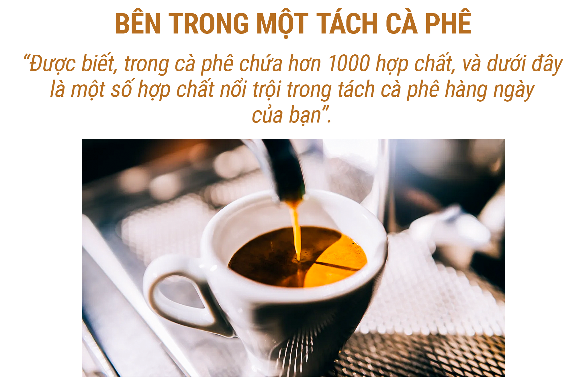 coffee_bentrongmottachcafe.png