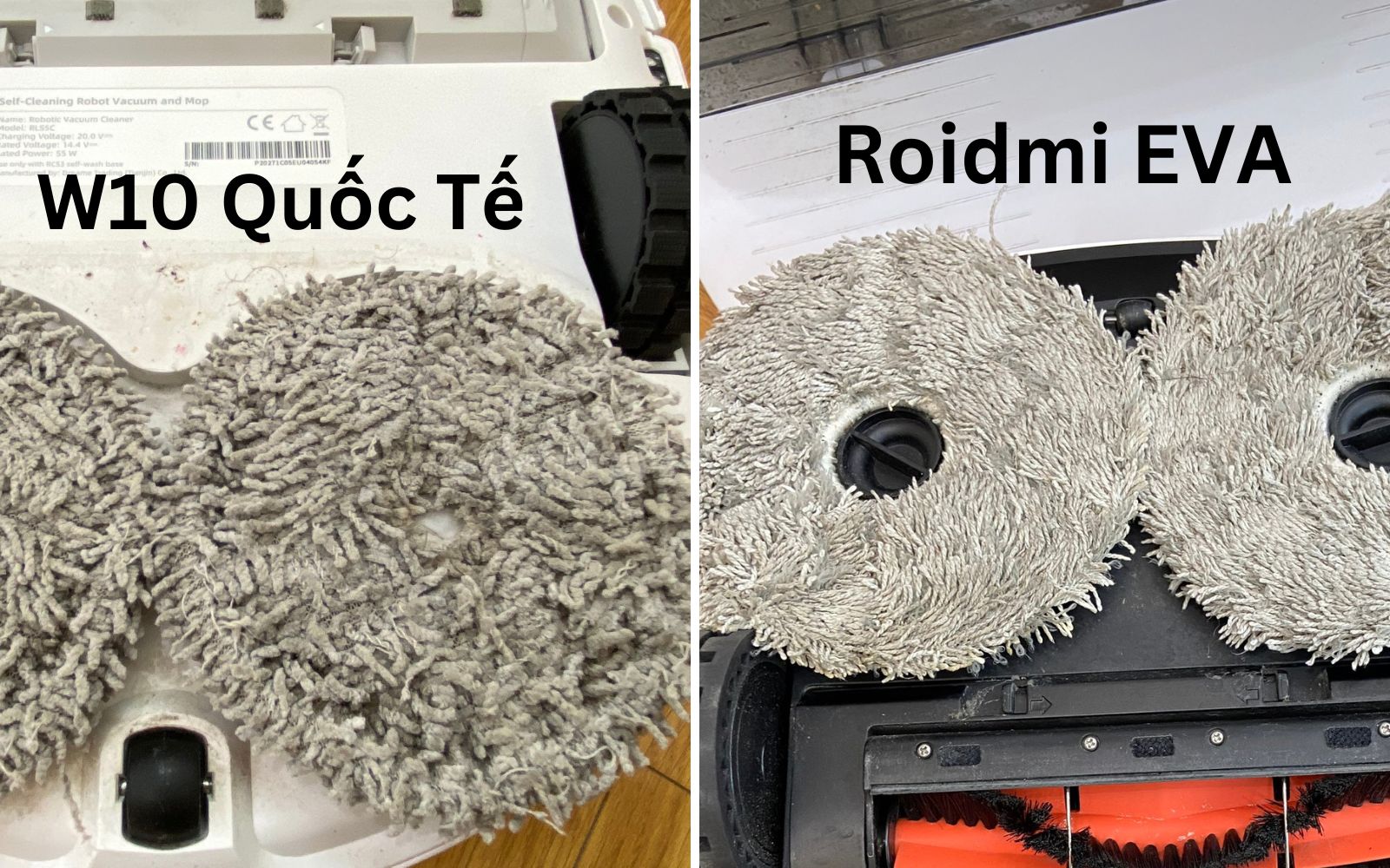 Roidmi EVA.jpg