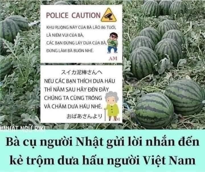 Tiếng Việt là ngôn ngữ duy nhất tại các ruộng dưa tại nhật!