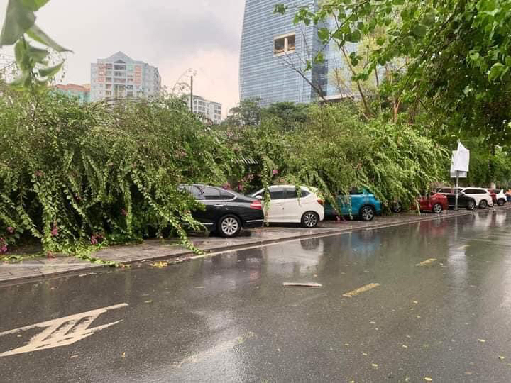 Sau trận mưa rào ban nãy (st)