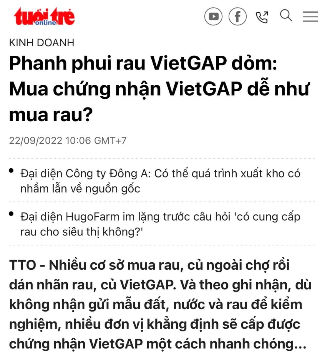 Trước mình hay đi vô mấy chỗ quận 12, HM thấy dân miền ngoài vô thuê đất trồng rau muống..., cắm bi