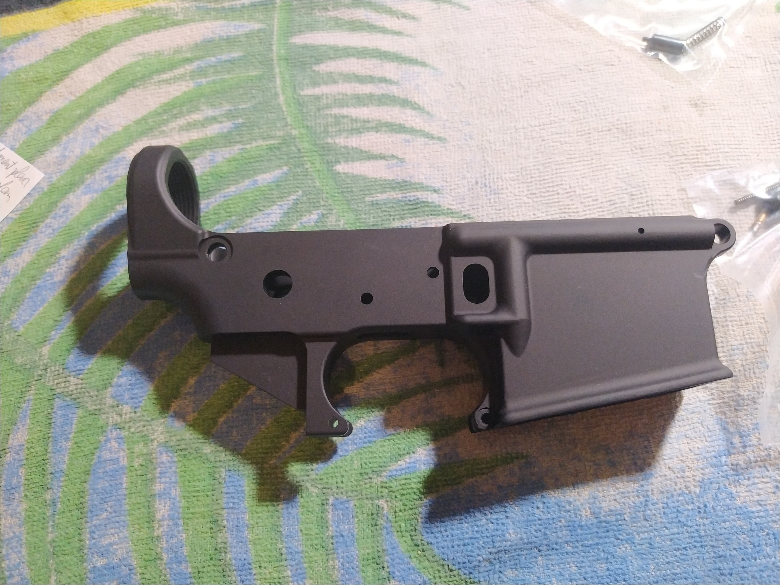 IMG_20220924_020358_stripped lower 2.jpg