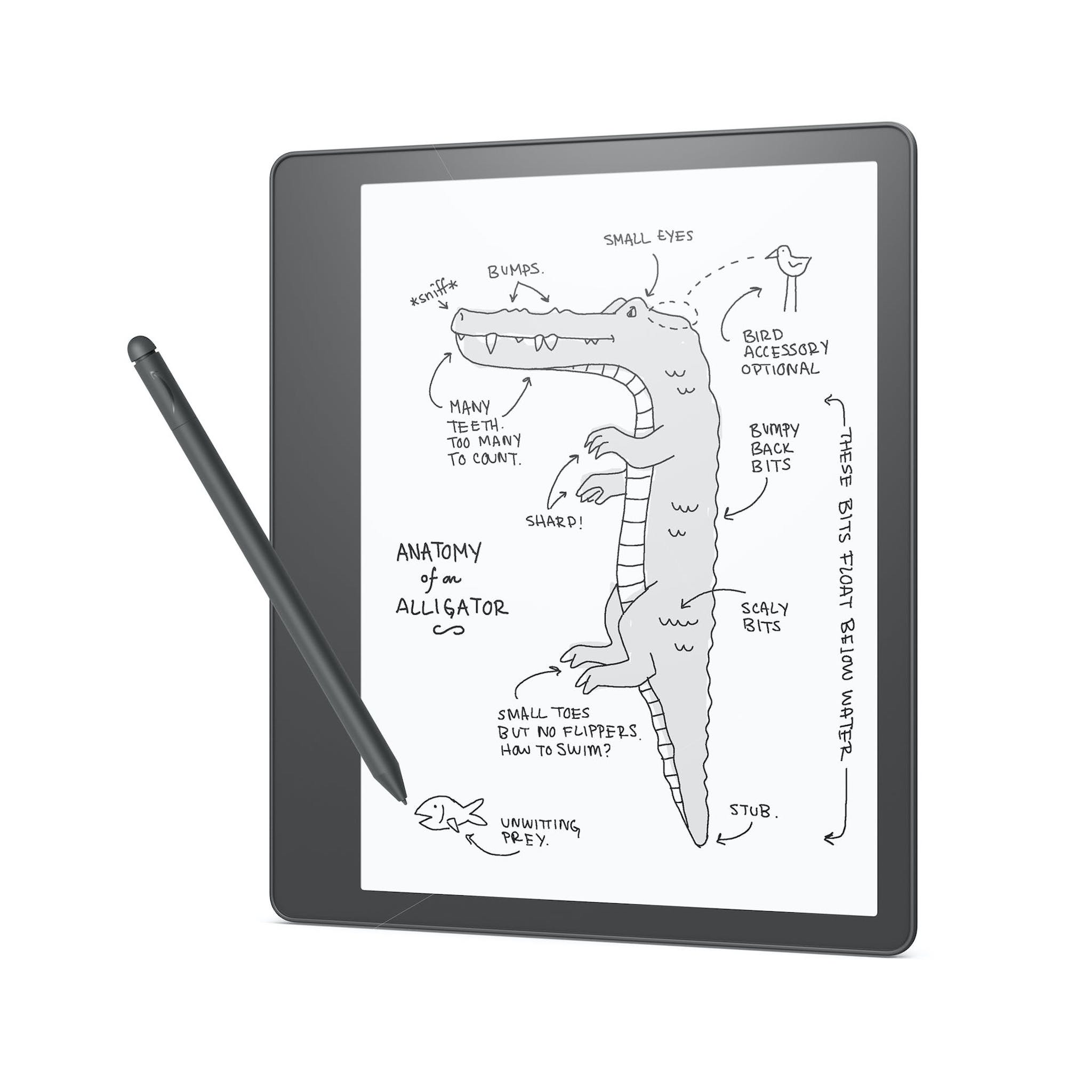 Kindle_Scribe_with_included_Premium_Pen__drawing.jpg