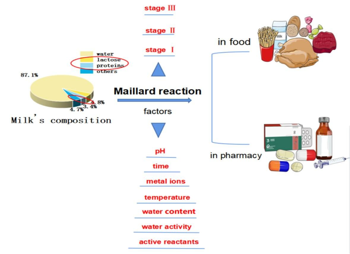 Phản ứng Maillard và ứng dụng trong ngành công nghiệp dược phẩm