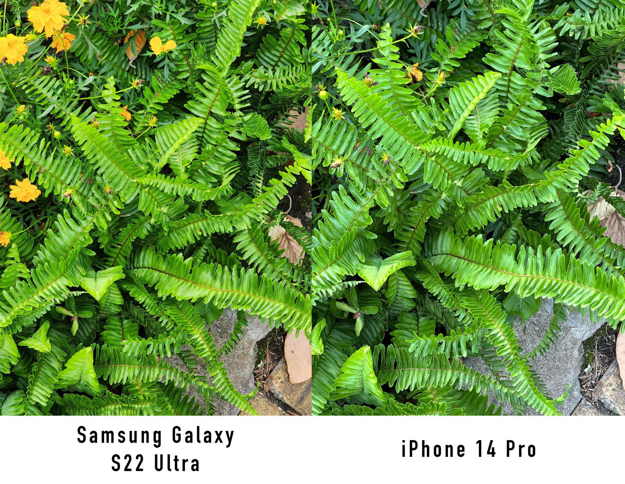 So-sánh-iphone-14-pro-samsung-s22-ultra-11.jpg